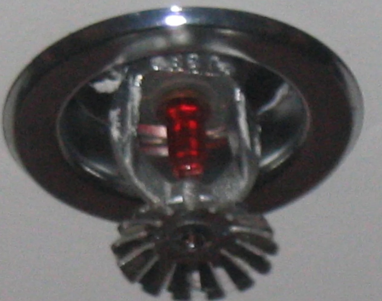 Fire Sprinkler Discharge Water Removal in Seabrook, MD