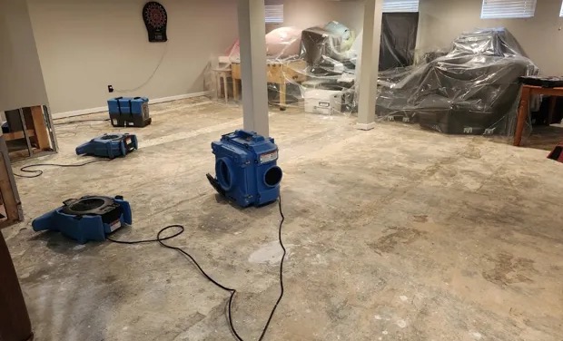 Odor Removal after Water Damage in Severna Park, MD